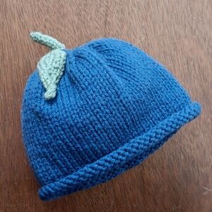 Hand Crafted Handknit Navy Blue & Green Blueberry Winter Baby Hat 3-6M